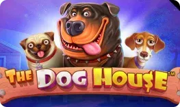 Ivy Casino – The Dog House